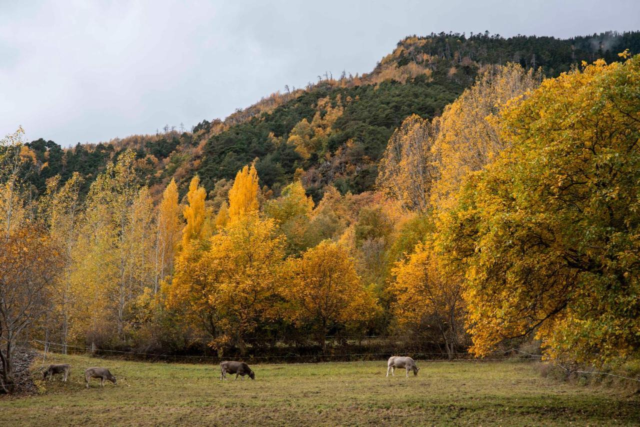 Casa Rural Besoli Areu Esterno foto